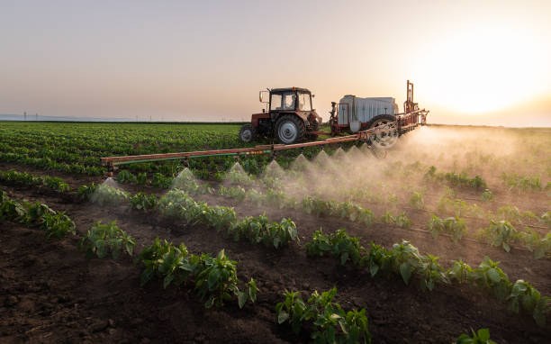 Best Commercial Pest Control Services  in Sugar Land, TX