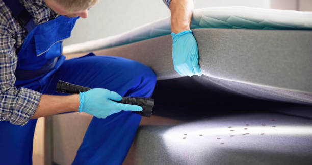Best Exterminator Services  in Sugar Land, TX
