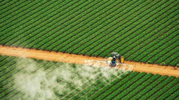 Best Pest Control for Homes  in Sugar Land, TX
