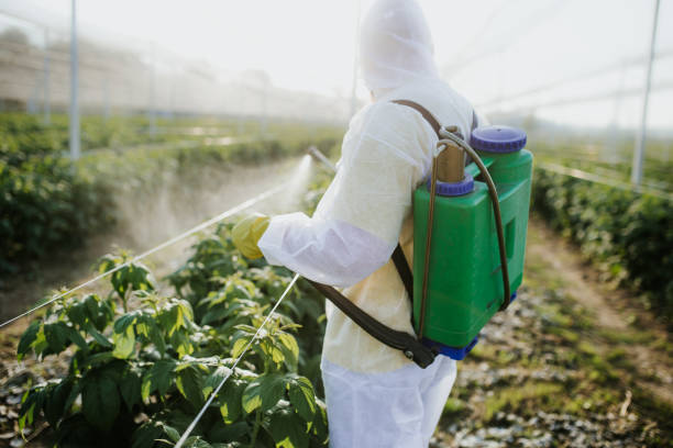 Best Best Pest Control Companies  in Sugar Land, TX